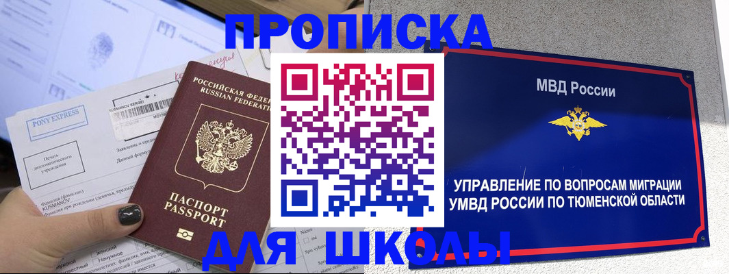 прописка для школы в Мончегорске